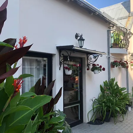 Butas Nika - And In The Heart Of Center Palanga