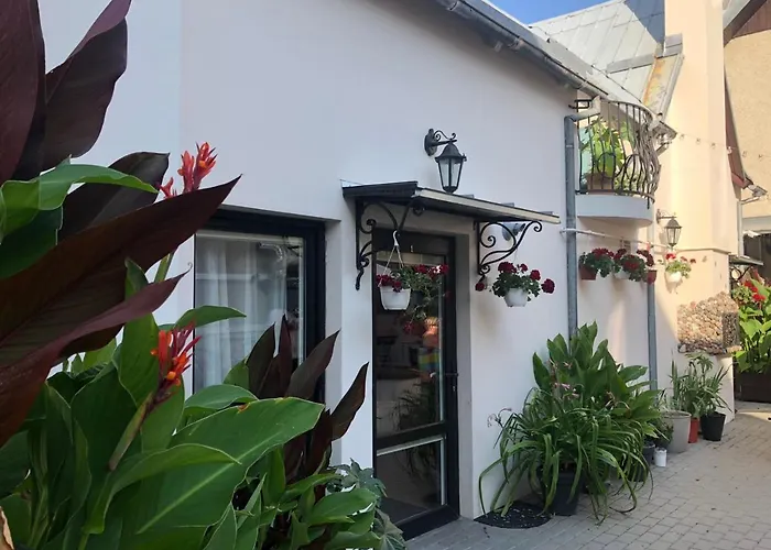 Apartman Nika - And In The Heart Of Center Palanga